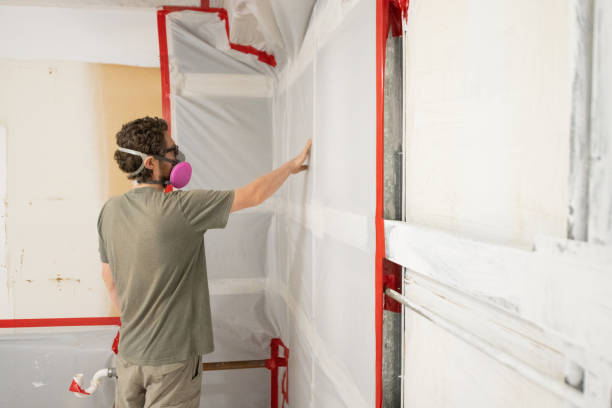 Mold Remediation for Rental Properties in Vacaville, CA