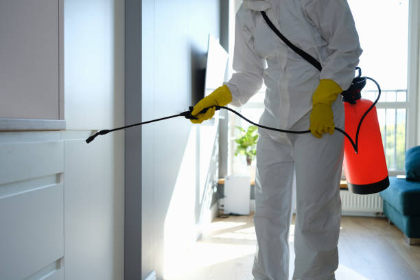 Best Post-Construction Mold Inspection  in Vaville, CA