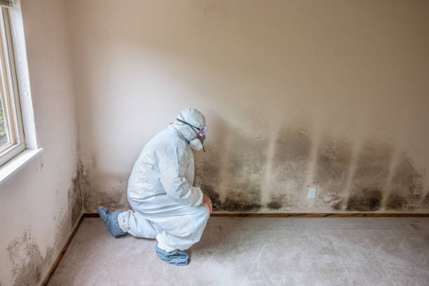Best Post-Remediation Verification Testing  in Vaville, CA